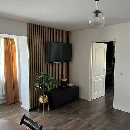 Cozy Apartment Baia Mare Zewnętrze zdjęcie
